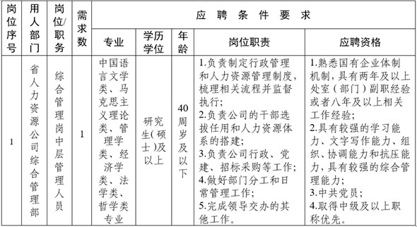 安徽省人力资源有限公司2025年社会公开招聘公告
