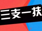 2025年上海市高校毕业生“三支一扶”计划招募310人公告