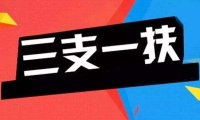 2026年山东省高校毕业生“三支一扶” 计划招募741人公告
