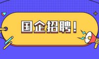 2025年安徽某区某国企及补充招聘31人公告