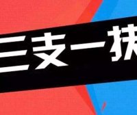 2025年上海市高校毕业生“三支一扶”计划招募310人公告