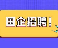 2025芜湖宜正工程咨询有限公司招聘劳务派遣人员2人公告