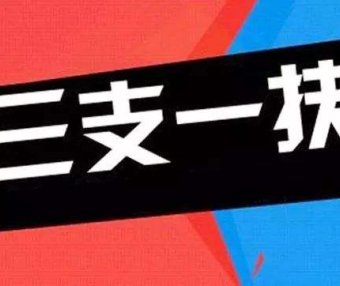 2025年上海市高校毕业生“三支一扶”计划招募310人公告