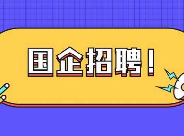 2025年安徽某区某国企及补充招聘31人公告